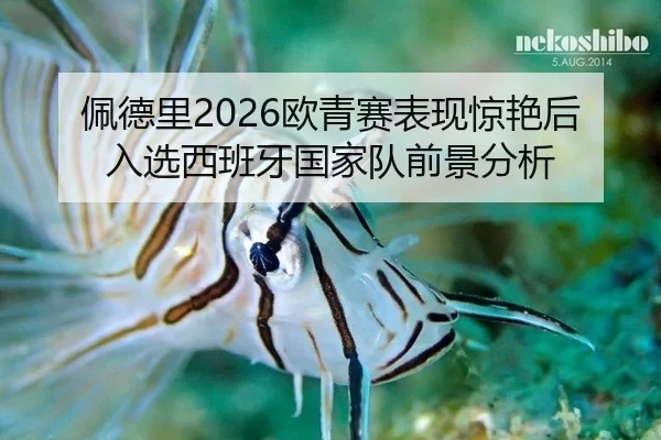 佩德里2026欧青赛表现惊艳后入选西班牙国家队前景分析