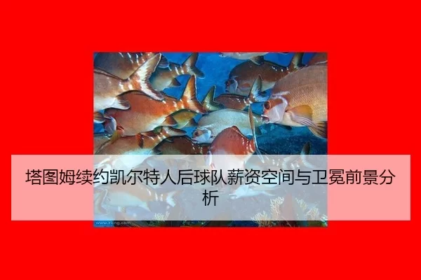 ta-tu-mu-xu-yue-kai-er-te-ren-hou-qiu-dui-xin-zi-kong-jian-yu-wei-mian-qian-jing-fen-xi-3-455.jpg